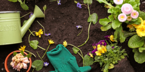 Must-Have Gardening Tools for Beginners: Essential Tools to Start Your Garden Journey