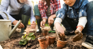 Your Ultimate Guide to Starting a Self-Sufficient Garden (Even if You’re a Beginner)
